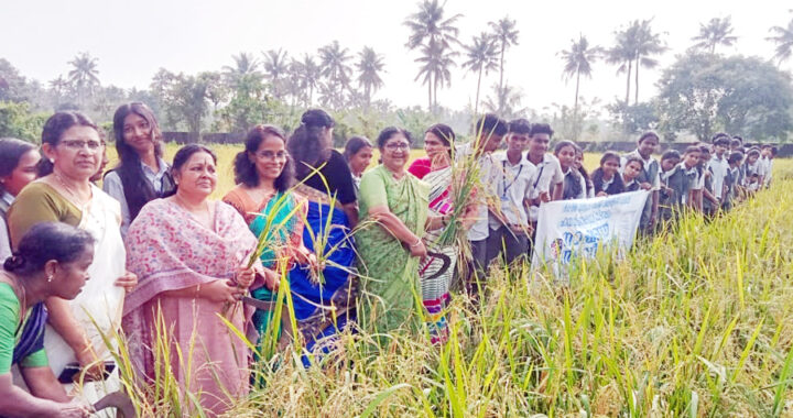 നടവരമ്പ് ഗവ. മോഡല്‍ ഹയര്‍ സെക്കന്‍ഡറി സ്‌കൂളില്‍ കുഞ്ഞിക്കൈകളില്‍ ഒരു പിടി നെല്ല് പദ്ധതിപ്രകാരം നടത്തിയ നെൽകൃഷിയുടെ കൊയ്ത്തുത്സവം മന്ത്രി ഡോ. ആര്‍. ബിന്ദു ഉദ്ഘാടനം ചെയ്യുന്നു.