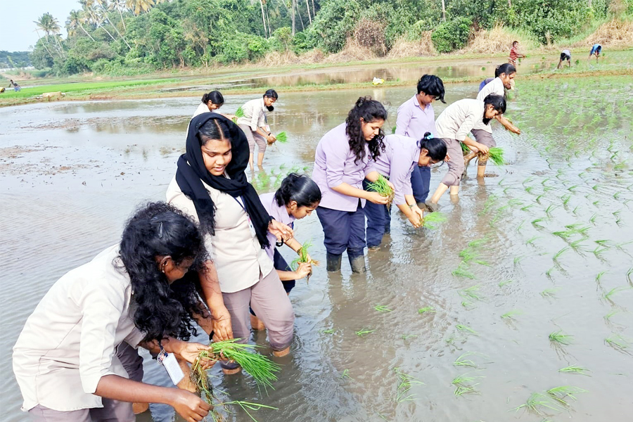 GIRLS HSS NELKRISHI