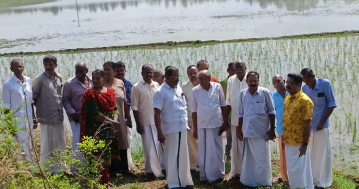 ഇരിങ്ങാലക്കുടയില്‍ വ്യാപകമായി കൃഷി നാശം സംഭവിച്ച പാടശേഖരങ്ങളില്‍ കേരളകര്‍ഷക സംഘം നേതാക്കള്‍ സന്ദര്‍ശനം നടത്തുന്നു.