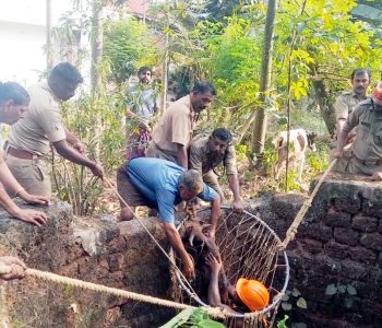 ഊരകം പൊഴോലിപറമ്പില്‍ ലിബിന്‍ ജോസിന്റെ കിണറില്‍ വീണ പശുക്കുട്ടിയെ അഗ്‌നിശമന സേനയെത്തി രക്ഷിക്കുന്നു.