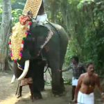 എടതിരിഞ്ഞി പോത്താനി ശിവക്ഷേത്രത്തിലെ ആറാട്ട് ചടങ്ങുകള്‍ക്കിടെ ആന ഇടഞ്ഞു