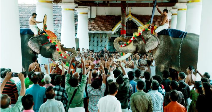 അവിട്ടത്തൂര്‍ മഹാദേവക്ഷേത്രത്തില്‍ ശിവരാത്രിയോടനുബന്ധിച്ച് ഇന്നലെ വെളുപ്പിനുനടന്ന യാത്രപറയല്‍ ചടങ്ങ്.