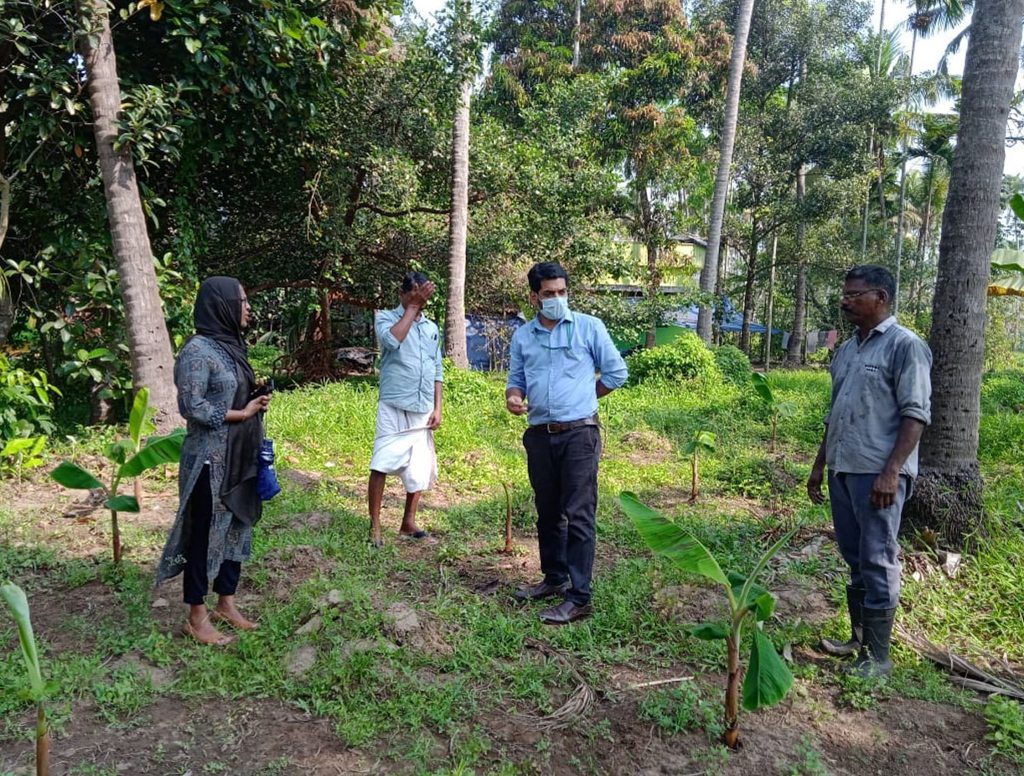 കാട്ടുപ്പന്നിയുടെ ശല്യം മൂലം കൃഷിനാശം സംഭവിച്ച കൃഷിയിടങ്ങള്‍ മണ്ണുത്തി കാര്‍ഷിക സര്‍വ്വകലാശാലയിലെ അസിസ്റ്റന്റ് പ്രഫസര്‍ ഡോ. രഞ്ജിത്തിന്റെ നേതൃത്വത്തില്‍ പരിശോധിക്കുന്നു.