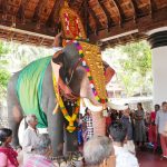 ആന പോലൊരു റോബോട്ടിക് ആന; സ്വിച്ചിട്ടാല്‍ തുമ്പിക്കൈയില്‍നിന്ന് വെള്ളം ചീറ്റും, ഒരിക്കലും മദം പൊട്ടില്ല