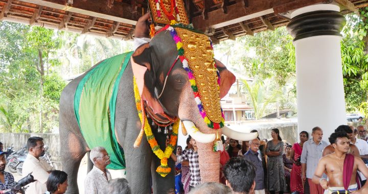 ഇരിങ്ങാലക്കുട കോമ്പാറ ശ്രീകൃഷ്ണ ക്ഷേത്രത്തില്‍ റോബോട്ടിക് ആനയായ കോമ്പാറ കണ്ണനെ സമര്‍പ്പിച്ച ശേഷം ക്ഷേത്രം ചുറ്റിയുള്ള എഴുന്നള്ളിപ്പ്.