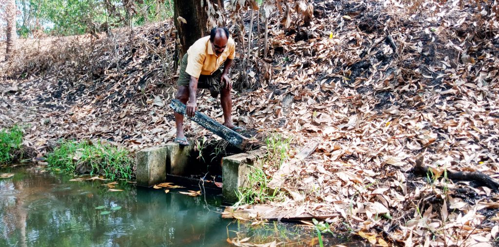 താണിശേരി ഹരിപുരം ബണ്ടില്‍ കെഎല്‍ഡിസി കനാലിനോട് ചേര്‍ന്ന് സ്ഥാപിച്ച സ്ലൂയിസ് തകര്‍ന്ന് വെള്ളം തോട്ടിലേക്ക് ഒഴുകുന്നു.