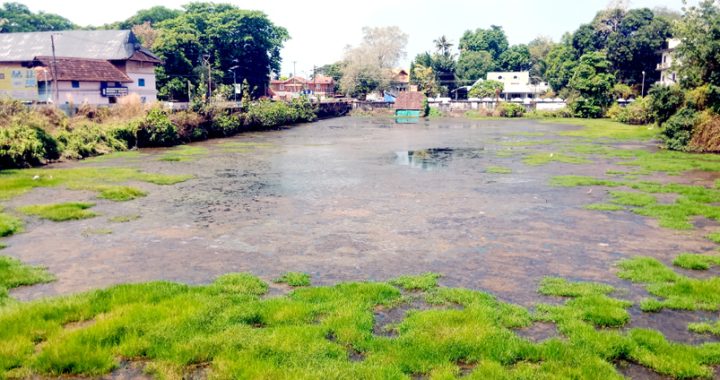 ഇരിങ്ങാലക്കുട കൂടല്‍മാണിക്യം ക്ഷേത്രം കിഴക്കേനടയിലുള്ള കുട്ടന്‍കുളം ചുറ്റിലും കാടുകയറി പൂപ്പല്‍ നിറഞ്ഞ നിലയില്‍.