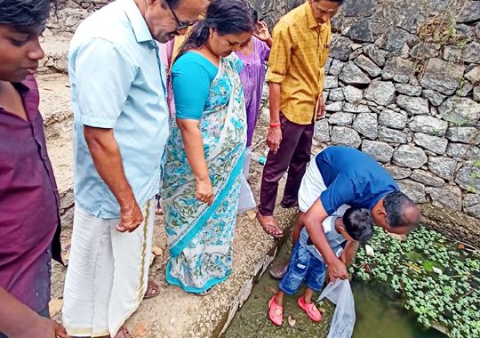 പൂമംഗലം പഞ്ചായത്തില്‍ ജനകീയ മത്സ്യകൃഷിയുടെ ഉദ്ഘാടനം പഞ്ചായത്ത് പ്രസിഡന്റ് കെ.എസ്. തമ്പി മത്സ്യ കുഞ്ഞുങ്ങളെ പൊതു കുളത്തില്‍ നിക്ഷേപിച്ചു കൊണ്ട് നിര്‍വഹിക്കുന്നു.