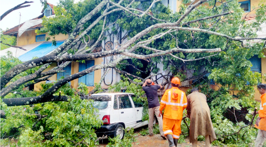 ഇരിങ്ങാലക്കുട കോടതി വളപ്പില്‍ വീണ മരം അഗ്‌നിശമനാ വിഭാഗത്തിന്റെ നേതൃത്വത്തില്‍ മുറിച്ചു മാറ്റുന്നു.