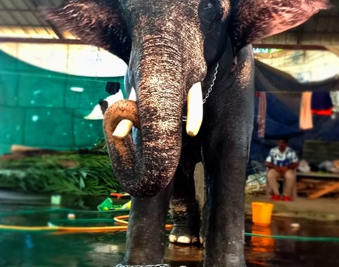 മേഘാര്‍ജുനന്‍.