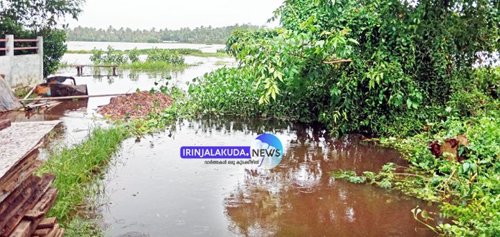 ചേലൂര്‍ പള്ളിക്കു സമീപം തേമാലിത്തറയില്‍ തോടിനു കുറുകെയുള്ള പാലത്തിന്റെ നിര്‍മാണം നിര്‍ത്തിവച്ച നിലയില്‍. പാലമില്ലാത്തതിനാല്‍ നിരവധി കുടുംബങ്ങളാണ് വീടുകളിലേക്ക് കടന്നുപോകാന്‍ സാധിക്കാതെ ദുരിതത്തിലായത്.