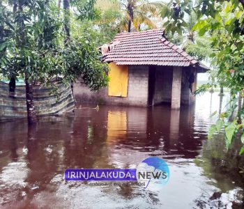 പടിയൂര്‍ പഞ്ചായത്തിലെ പുളിക്കലച്ചിറ പാടത്തോടു ചേര്‍ന്നുള്ള താഴ്ന്ന പ്രദേശങ്ങളില്‍ വെള്ളം കയറിയ നിലയില്‍