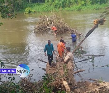 കരുവന്നൂര്‍ പുഴയിലേക്ക് വീണ മരം അഗ്‌നിരക്ഷാസേനയുടെ സഹായത്തോടെ മുറിച്ചുമാറ്റുന്നു.
