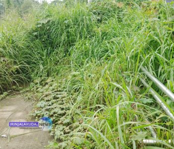 നടവരമ്പ് ചിറവളവിലെ വഴിയോര വിശ്രമകേന്ദ്രം കാടുപിടിച്ച നിലയില്‍.