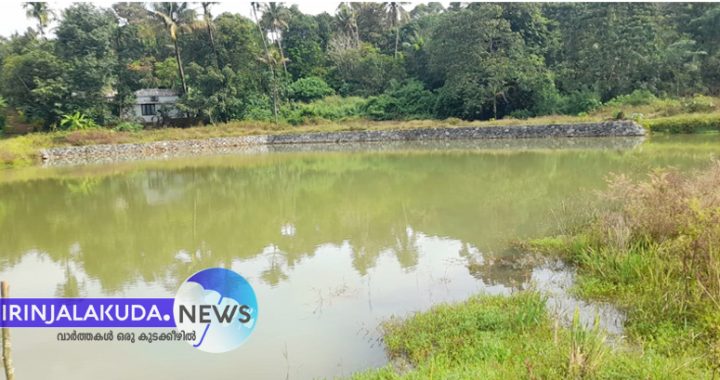 മുരിയാട് പഞ്ചായത്തിലെ ഊരകം വെസ്റ്റ് കതിര്പ്പിള്ളി കുളത്തിന്റെ സംരക്ഷണ ഭിത്തി തകര്ന്ന നിലയില്.
