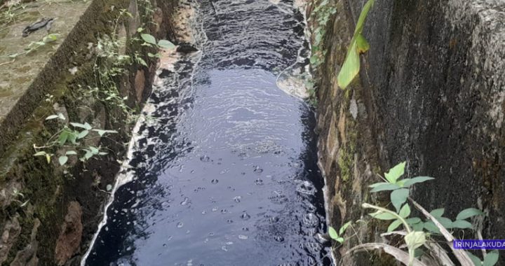 എടതിരിഞ്ഞി കള്ള് ഷാപ്പിന് സമീപം കാനയില്‍ മലിനജലം കെട്ടിക്കിടക്കുന്നു.