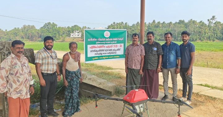 നഗരസഭ കൃഷിഭവന്റെ ആഭിമുഖ്യത്തില്‍ പത്രപോഷണം പദ്ധതി പ്രകാരം കൈപ്പള്ളിത്തറ കക്കാട് പാടശേഖരത്തില്‍ സമ്പൂര്‍ണ സൂക്ഷ്മമൂലക വളപ്രയോഗം നടത്തുന്നു.