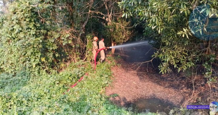 മഴുവഞ്ചേരി തുരുത്തിലെ തീ അണക്കുന്ന അഗ്നിരക്ഷാ സേന.