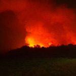 അരിപ്പാലം പൂക്കോട് തുരുത്തില്‍ വന്‍ തീപിടുത്തം, ഏക്കര്‍കണക്കിനു പാടശേഖരം കത്തി നശിച്ചു