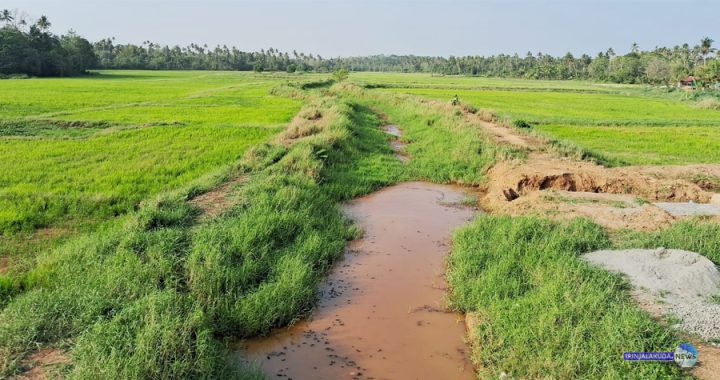 മൂന്നുദിവസം വെള്ളം വിട്ടു നല്‍കിയിട്ടും വരണ്ട സ്ഥിതിയില്‍ വെങ്കുള ചിറ.