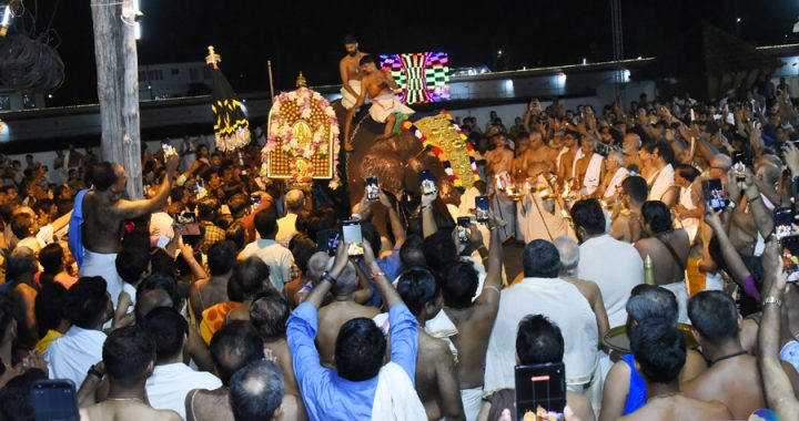 ഇരിങ്ങാലക്കുട കൂടല്‍മാണിക്യ ക്ഷേത്രത്തില്‍ നടന്ന കൊടിപ്പുറത്ത് വിളക്കാഘോഷത്തിനു എഴുന്നള്ളിപ്പിനായി ദേവസ്വത്തിന്റെ സ്വന്തം ആനയായ മേഘാര്‍ജുനന്റെ പുറത്തേക്ക് തിടമ്പ് ഏറ്റുന്നു.
