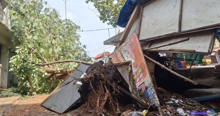 ശക്തമായ കാറ്റില്‍ വീണ ഇരിങ്ങാലക്കുട മാര്‍ക്കറ്റിലെ പാഴ്മരം.