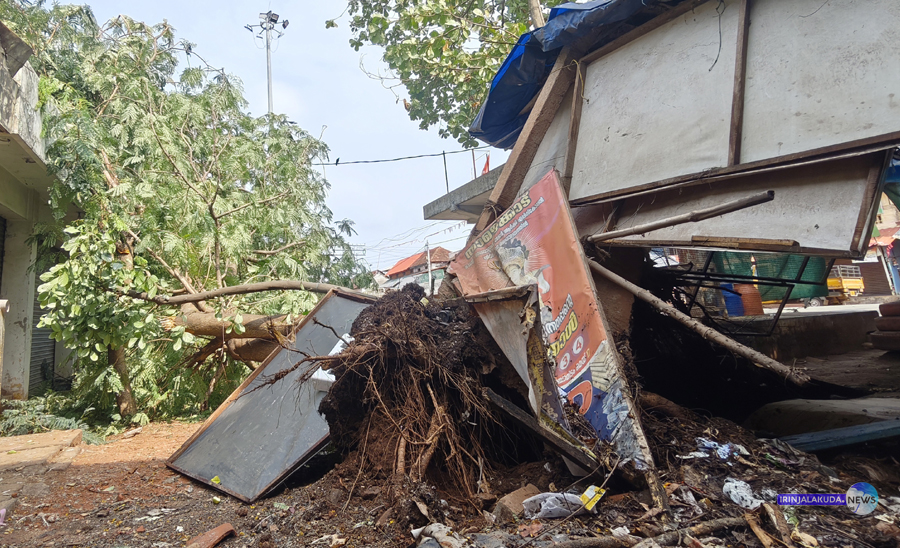 ശക്തമായ കാറ്റില്‍ വീണ ഇരിങ്ങാലക്കുട മാര്‍ക്കറ്റിലെ പാഴ്മരം.
