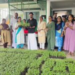 പടിയൂര്‍ പഞ്ചായത്തില്‍ ഓണത്തിന് പൂകൃഷി പദ്ധതിയുടെ ഭാഗമായി ചെണ്ടുമല്ലി തൈ വിതരണം ചെയ്തു