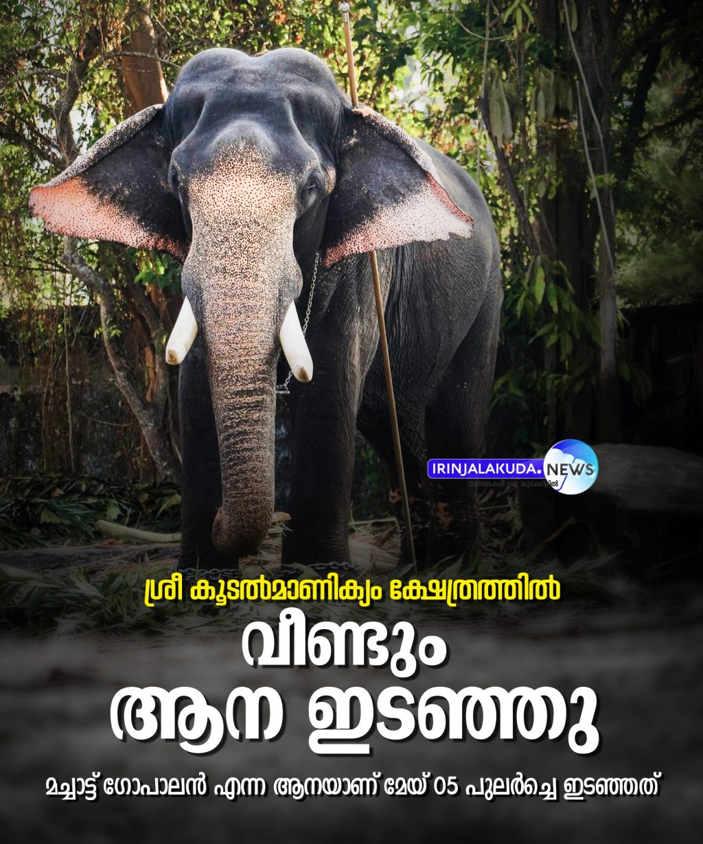 WhatsApp Image 2026-05-05 at 10.12.50 AM