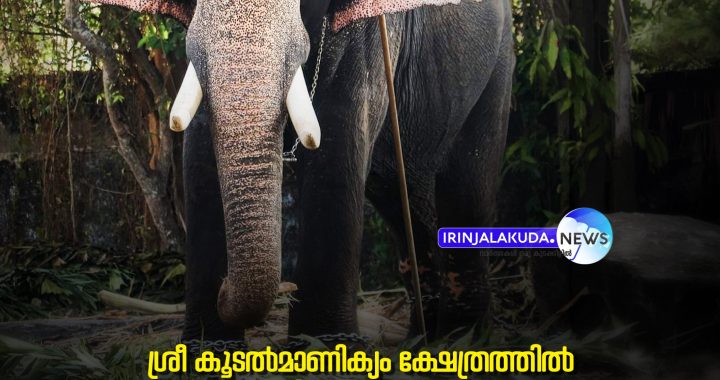 WhatsApp Image 2026-05-05 at 10.12.50 AM