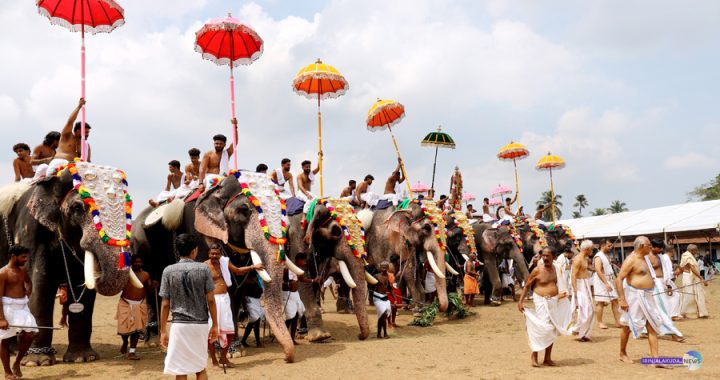 ഇരിങ്ങാലക്കുട കൂടല്‍മാണിക്യം ക്ഷേത്രത്തില്‍ നടന്ന ശീവേലി എഴുന്നള്ളിപ്പ്.