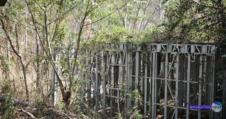 കാറളം വെള്ളാനിയില്‍ ഭൂരഹിത, ഭവനരഹിത ഗുണഭോക്താക്കള്‍ക്കായി ലൈഫ് മിഷന്‍ നിര്‍മിക്കുന്ന ഫ്ലാറ്റ് സമുച്ചയത്തിന്‍റെ താഴത്തെ നിലയിലെ ചുമരുകള്‍ കാടുകയറിയ നിലയില്‍.