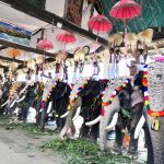 ഏഴ് ദിവസം, 13 കഥകള്‍, കഥകളി ഏറെ ശ്രദ്ധേയമായി