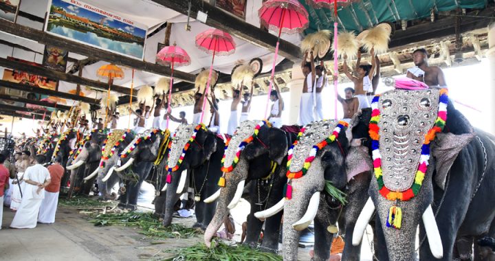 കൂടല്‍മാണിക്യ ക്ഷേത്രത്തില്‍ ശീവേലി എഴുന്നള്ളിപ്പ് കിഴക്കേ നടയില്‍ എത്തിയപ്പോള്‍.