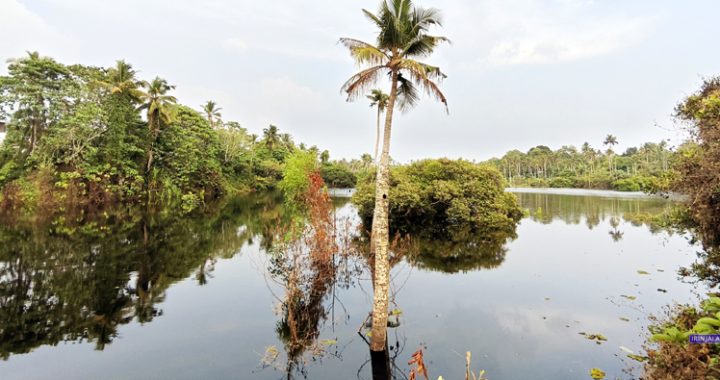 വടുവന്‍തോട്ടില്‍ അനധികൃത തടയണ തുറന്നതിനെ തുടര്‍ന്ന് വെള്ളം ഒഴുകിപോയ നിലയില്‍.