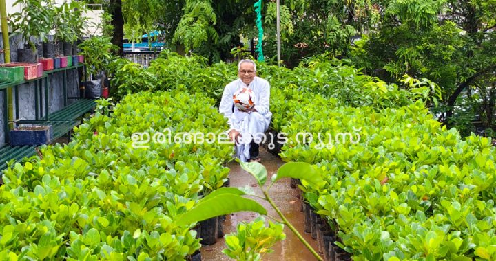 ലോകകപ്പ് മത്സരത്തില്‍ ഒരു ഗോള്‍ വീഴുമ്പോള്‍ നട്ടുപിടിപ്പിക്കുന്നതിനായുള്ള 1000 ഡെനങ്ങ് റെഡ് ജാക്ക് തൈകളും 1000 കൊളംബിയന്‍ മാവിന്റെ തൈകളുമായി ഫാ. ജോയ് പീണിക്കപറമ്പില്‍.