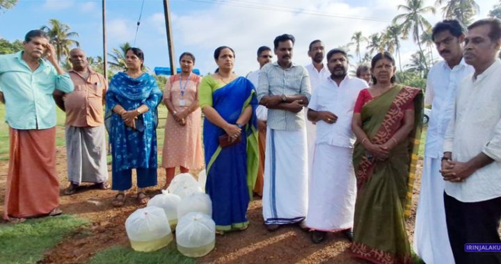 കേരള സര്‍ക്കാര്‍ ഫിഷറീസ് വകുപ്പ് ജനകീയ മത്സ്യകൃഷി ഒരു നെല്ലും ഒരു മീനും പദ്ധതിയുടെ ഭാഗമായി ഇരിങ്ങാലക്കുട നഗരസഭയിലെ വിവിധ പാടശേഖരങ്ങളില്‍ നടത്തിയ മത്സ്യക്കുഞ്ഞുങ്ങളുടെ നിക്ഷേപ പരിപാടി നഗരസഭ വൈസ് ചെയര്‍പേഴ്‌സണ്‍ ചിന്ത ധര്‍മരാജന്‍ ഉദ്ഘാടനം ചെയ്യുന്നു.