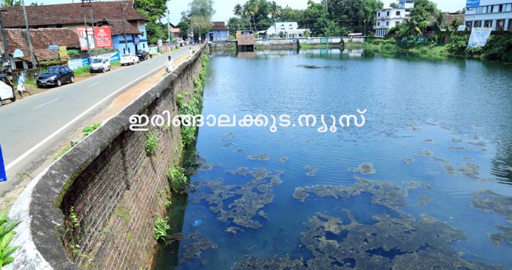 കൂടല്‍മാണിക്യം ക്ഷേതരത്തിന്റെ കിഴക്കേ നടയ്ക്ക് സമീപമുള്ള കുട്ടംകുളവും ചരിത്രപ്രസിദ്ധമായ നടവഴിയും. ഈ വഴിയിലൂടെ എല്ലാ വിഭാഗം ജനങ്ങള്‍ക്കും സഞ്ചരിക്കാനുള്ള അവകാശം നേടിയെടുക്കാനായിരുന്നു 1946ലെ കുട്ടംകുളം സമരം.