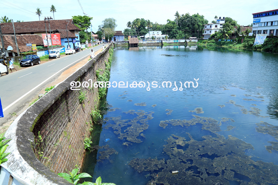കൂടല്‍മാണിക്യം ക്ഷേതരത്തിന്റെ കിഴക്കേ നടയ്ക്ക് സമീപമുള്ള കുട്ടംകുളവും ചരിത്രപ്രസിദ്ധമായ നടവഴിയും. ഈ വഴിയിലൂടെ എല്ലാ വിഭാഗം ജനങ്ങള്‍ക്കും സഞ്ചരിക്കാനുള്ള അവകാശം നേടിയെടുക്കാനായിരുന്നു 1946ലെ കുട്ടംകുളം സമരം.
