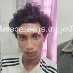 ഹാഷിഷ് ഓയിലും കഞ്ചാവുമായി മൂന്നുപേര്‍ പിടിയില്‍