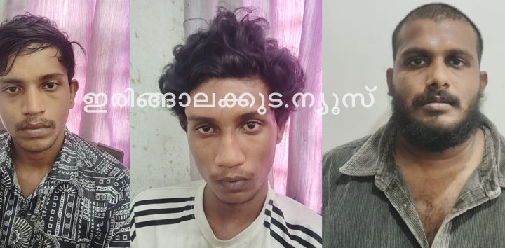 പ്രണവ് (25),  അഖില്‍ (21), ജിഷ്ണു (30).