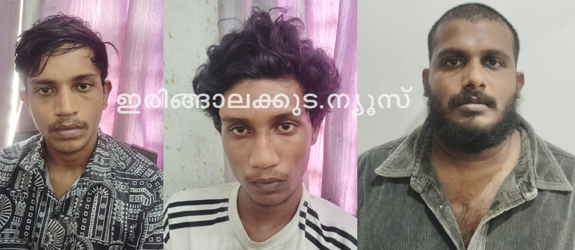 പ്രണവ് (25),  അഖില്‍ (21), ജിഷ്ണു (30).