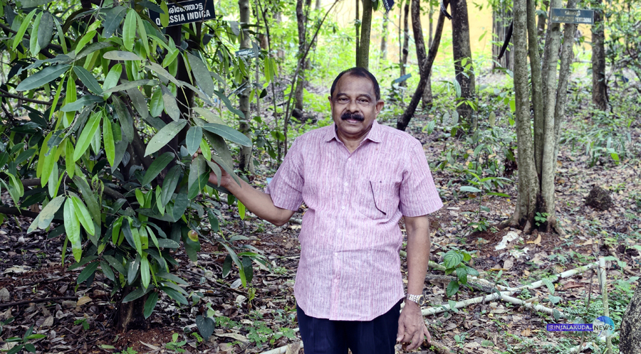 പ്രഫ. എം.എ. ജോണ്‍ താന്‍ നട്ടുപരിപാലിച്ച ഇരിങ്ങാലക്കുട സിവില്‍ സ്റ്റേഷന്‍ അര്‍ബൊറേറ്റം കോമ്പൗണ്ടില്‍.
