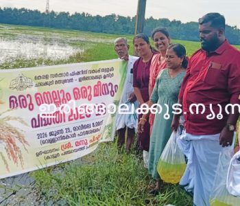 ഒരു നെല്ലും ഒരു മീനും പദ്ധതിയുടെ ഭാഗമായി കാട്ടൂര്‍ വെള്ളാനി കോള്‍പ്പാടശേഖരത്തില്‍ കാട്ടൂര്‍ പഞ്ചായത്ത് പ്രസിഡന്റ് പി.എസ്. മനു മത്സ്യക്കുഞ്ഞുങ്ങളെ നിക്ഷേപിക്കുന്നു.