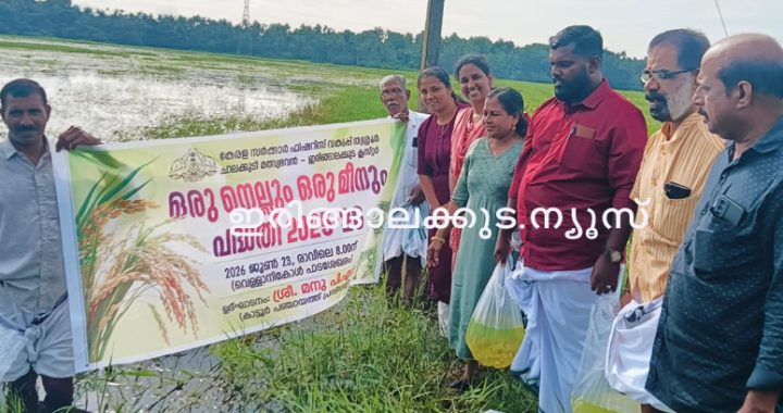 ഒരു നെല്ലും ഒരു മീനും പദ്ധതിയുടെ ഭാഗമായി കാട്ടൂര്‍ വെള്ളാനി കോള്‍പ്പാടശേഖരത്തില്‍ കാട്ടൂര്‍ പഞ്ചായത്ത് പ്രസിഡന്റ് പി.എസ്. മനു മത്സ്യക്കുഞ്ഞുങ്ങളെ നിക്ഷേപിക്കുന്നു.