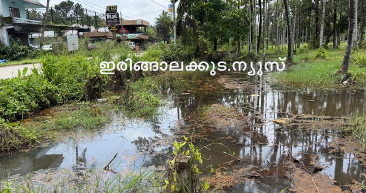 ഒഴുകിപ്പോകാനാകാതെ വെള്ളാങ്കല്ലൂര്‍ പഞ്ചായത്തിലെ പട്ടരു പാലത്തിനു സമീപം വെള്ളം കെട്ടിനില്‍ക്കുന്നു.