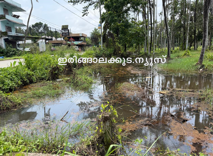 ഒഴുകിപ്പോകാനാകാതെ വെള്ളാങ്കല്ലൂര്‍ പഞ്ചായത്തിലെ പട്ടരു പാലത്തിനു സമീപം വെള്ളം കെട്ടിനില്‍ക്കുന്നു.