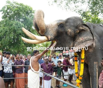 എടതിരിഞ്ഞി ശിവകുമാരേശ്വര ക്ഷേത്രത്തില്‍ നടന്ന ആനയൂട്ട്.