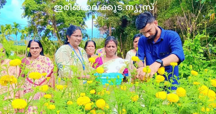 കാറളം പഞ്ചായത്തിലെ വാര്‍ഡ് രണ്ടില്‍ നടന്ന ഹരിത ജെഎല്‍ജി വിളവെടുപ്പ് വാര്‍ഡ് മെമ്പര്‍ അഡ്വ. അനീഷ് ഉദ്ഘാടനം ചെയ്യുന്നു.