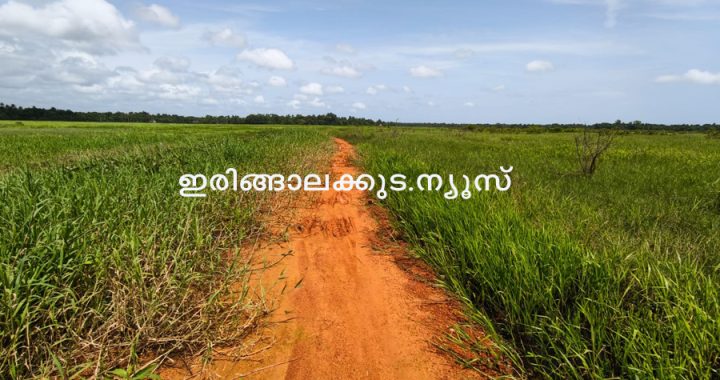 പടിയൂര്‍ പൂമംഗലം കോള്‍ വികസന പദ്ധതിയുടെ ഭാഗമായി നിര്‍മിച്ച ബണ്ടും തരിശായി കിടക്കുന്ന പാടശേഖരവും.